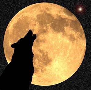 wolf-moon1