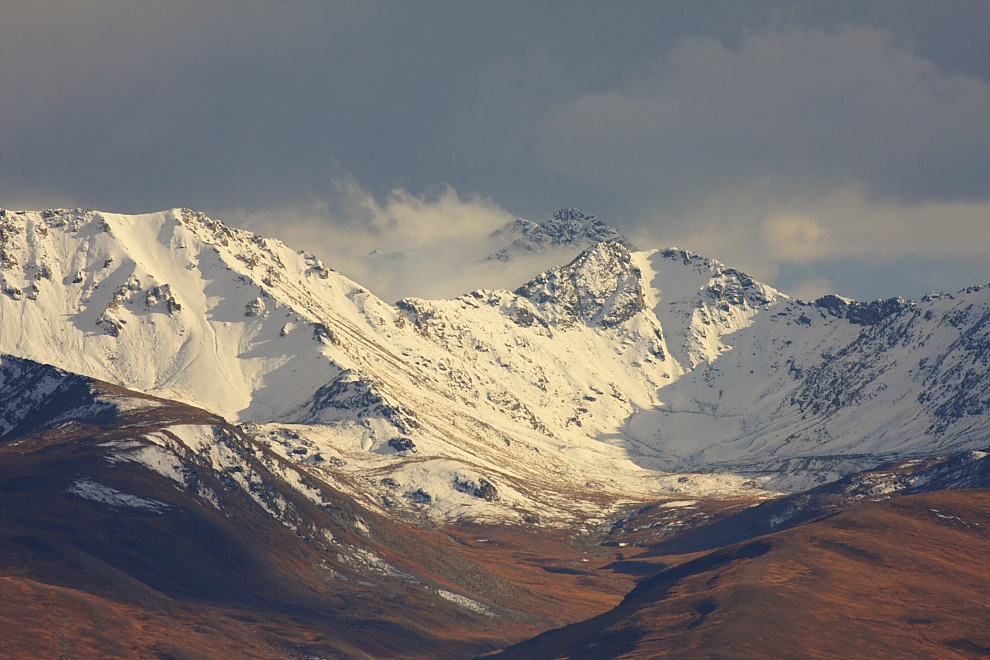 7798274768_a56d9ebeea_b